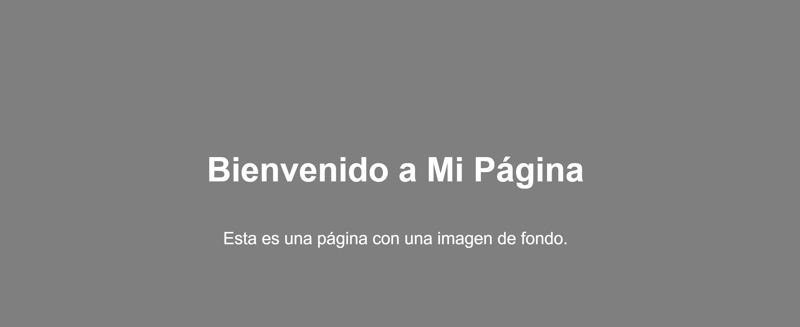 Vista previa de Plantilla 3